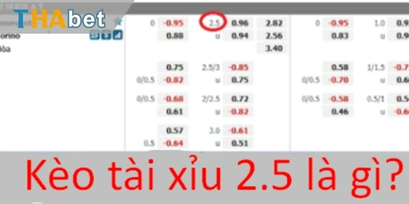 Kèo tài xỉu 2.5 là gì?